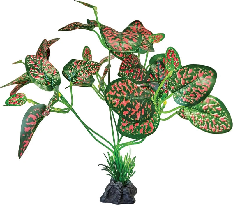 Repto Plant Standing (Various Types)