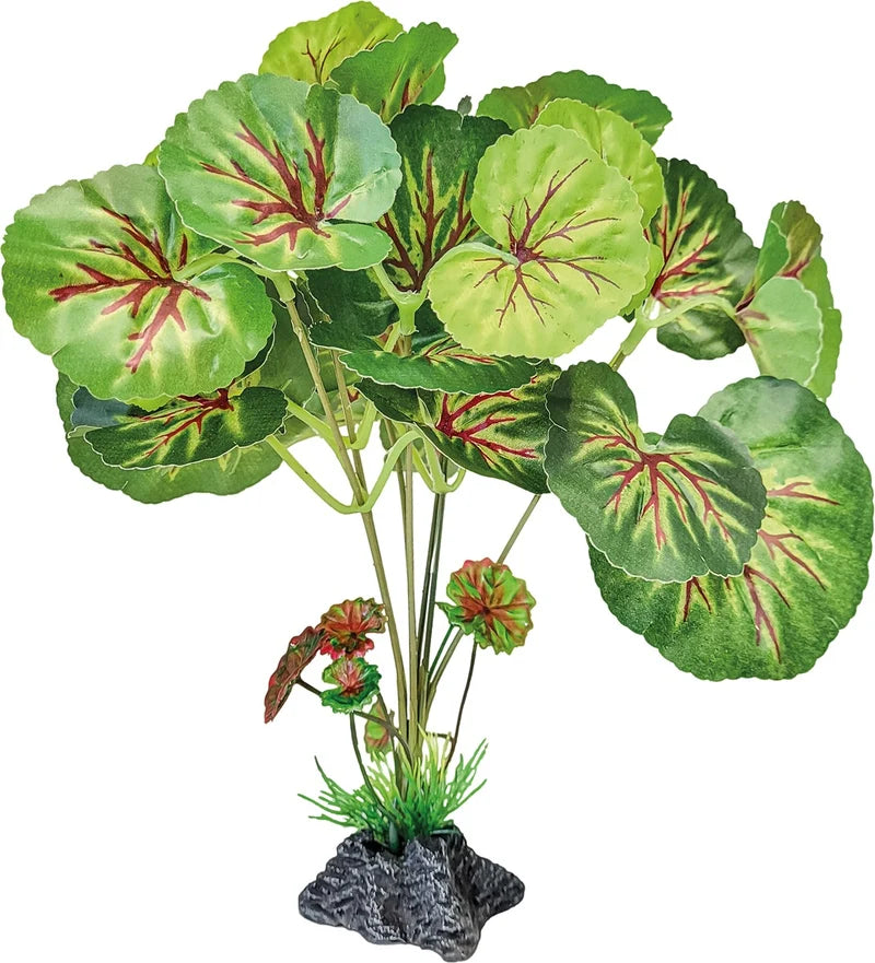 Repto Plant Standing (Various Types)