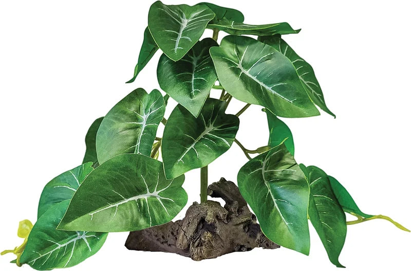 Repto Plant on Deco (Various Types)