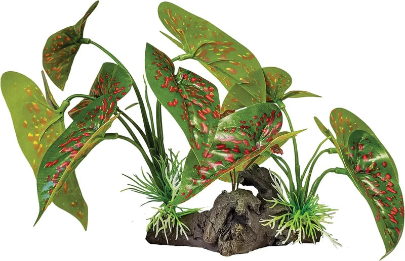 Repto Plant on Deco (Various Types)