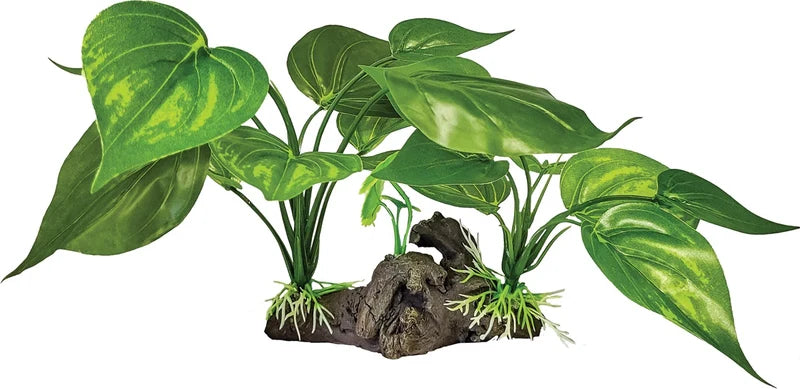 Repto Plant on Deco (Various Types)