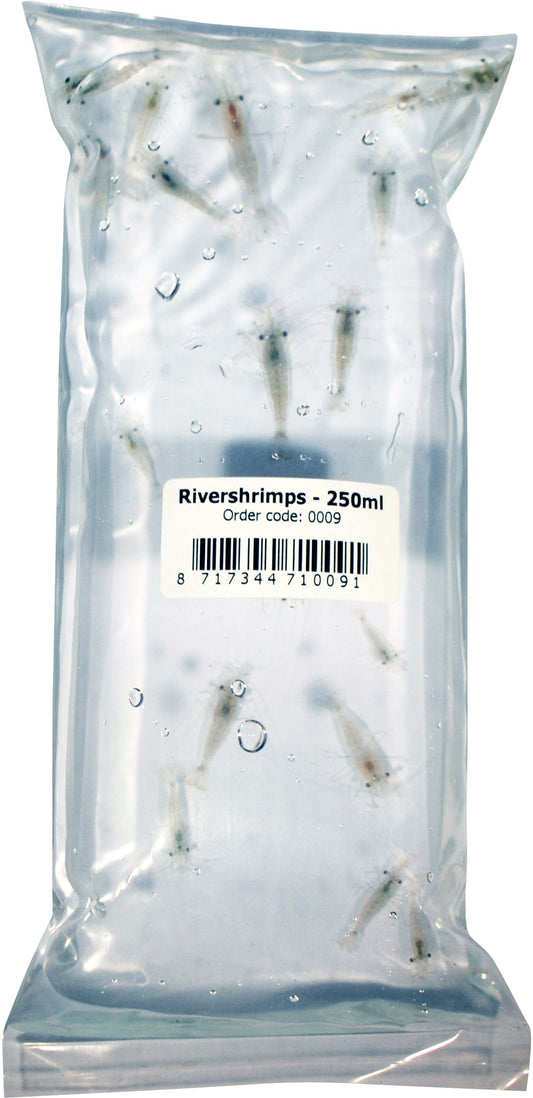 River Shrimp 250ml