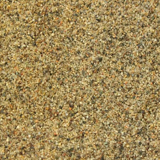 Shark Sand - Savannah