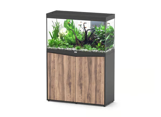 Splendid 100 Aquarium Black + Black Wood Cabinet