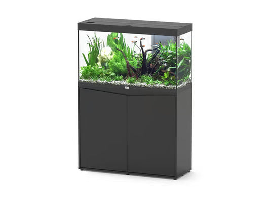 Splendid 100 Aquarium Black + Black Cabinet