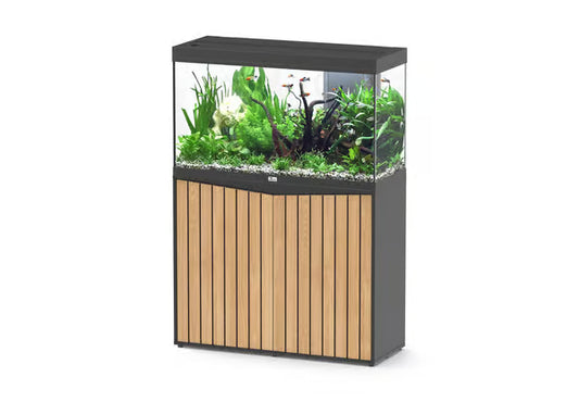 Splendid 100 Aquarium Black + Black Slat Cabinet