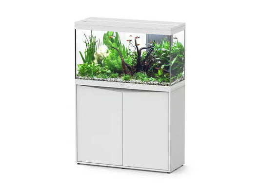 Splendid 100 Aquarium White + White Cabinet