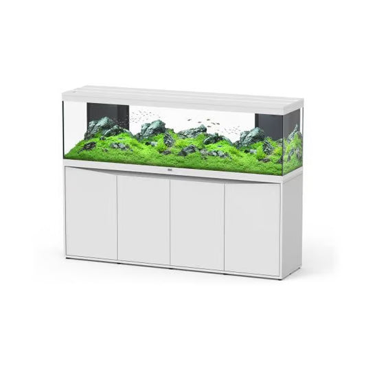 Splendid 200 White + White Stand and External Filter