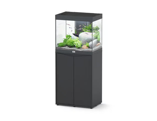 Splendid 60 Aquarium Black + Black Cabinet