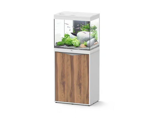 Splendid 60 Aquarium White + White Wood Cabinet
