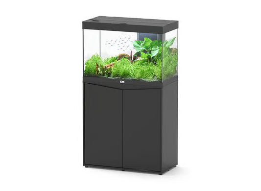 Splendid 80 Aquarium Black + Black Cabinet