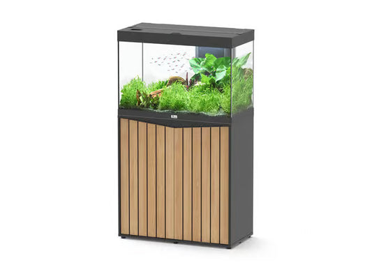 Splendid 80 Aquarium Black + Black Slat Cabinet