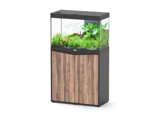 Splendid 80 Aquarium Black + Black Wood Cabinet