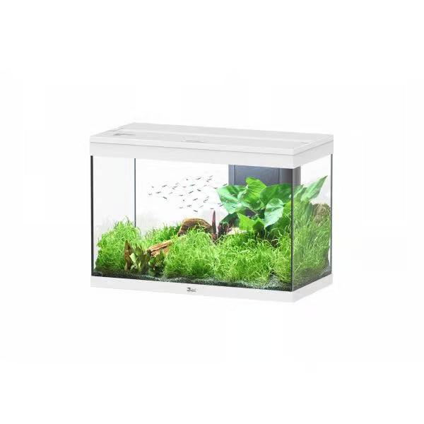 Splendid 80 Aquarium White + White Slat Cabinet