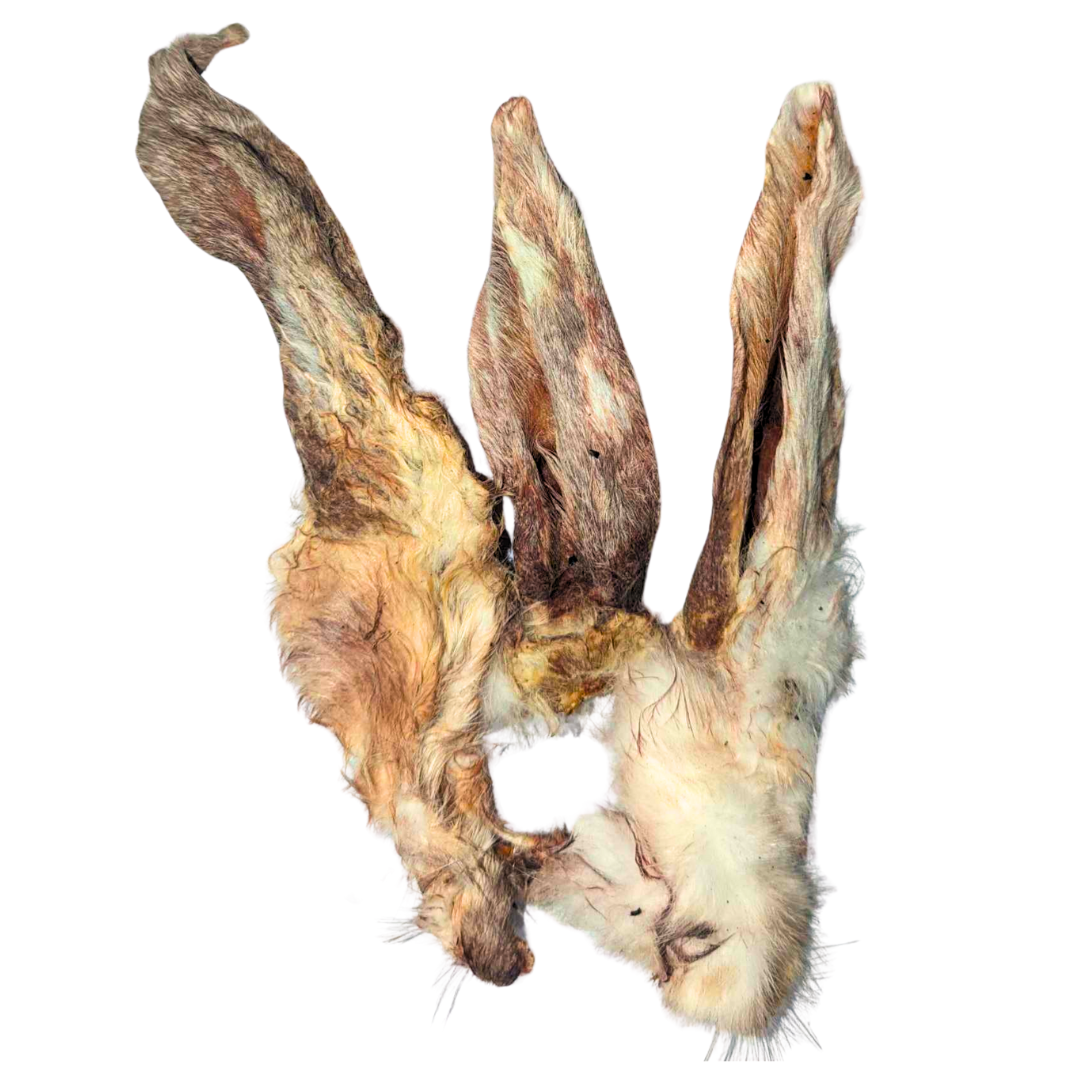 Ear Of A Rabbit Rabbit Ear With Hair - Single – Snuffle and Swim