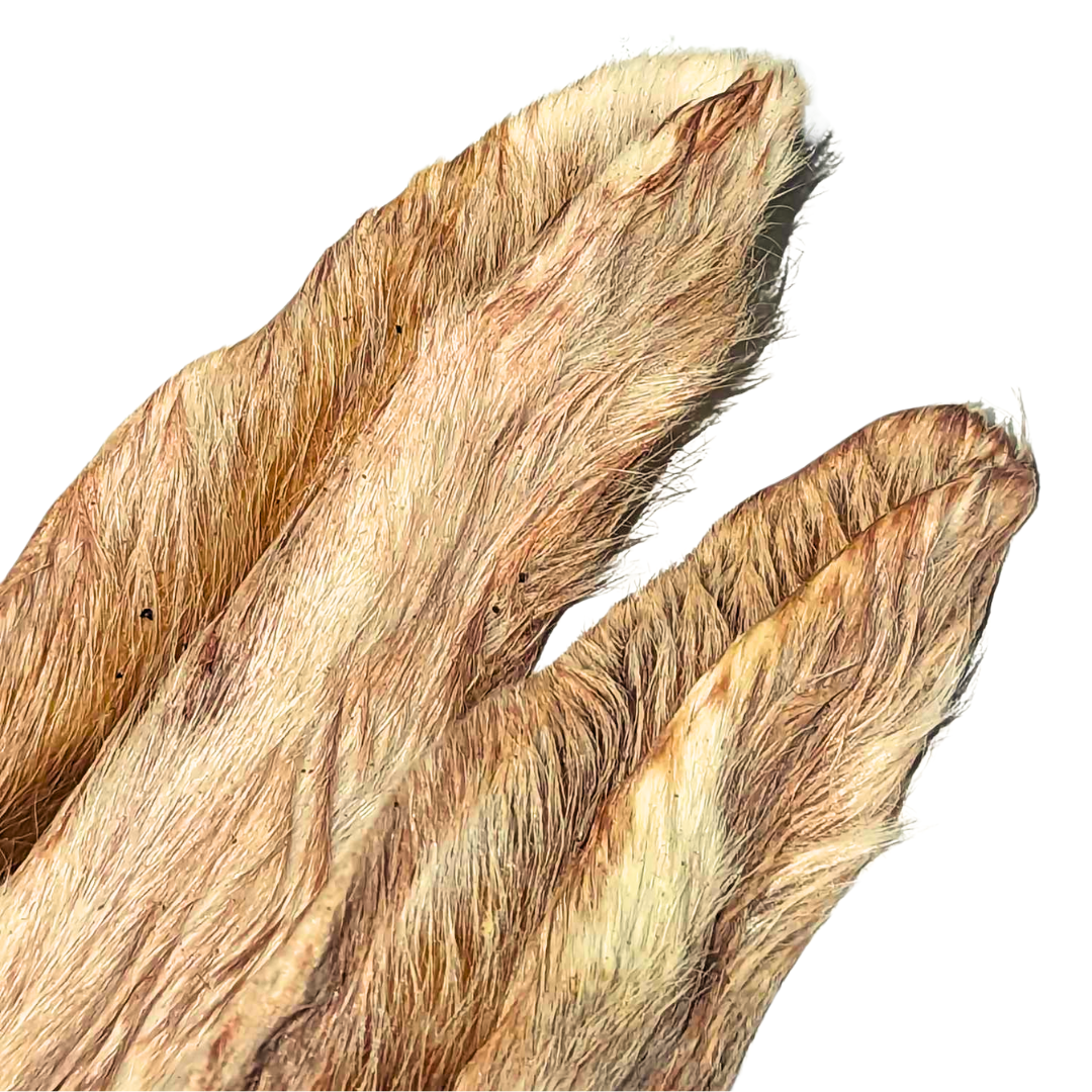 Rabbit Ear With Hair 1.5kg Bulk