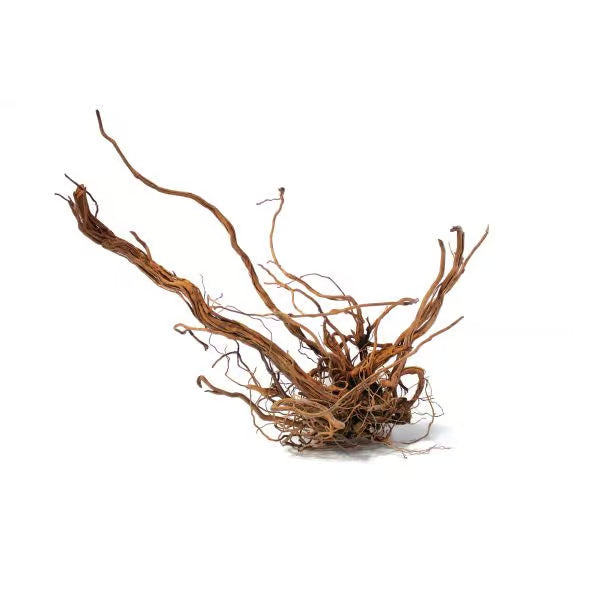 Twisted Vine Root L