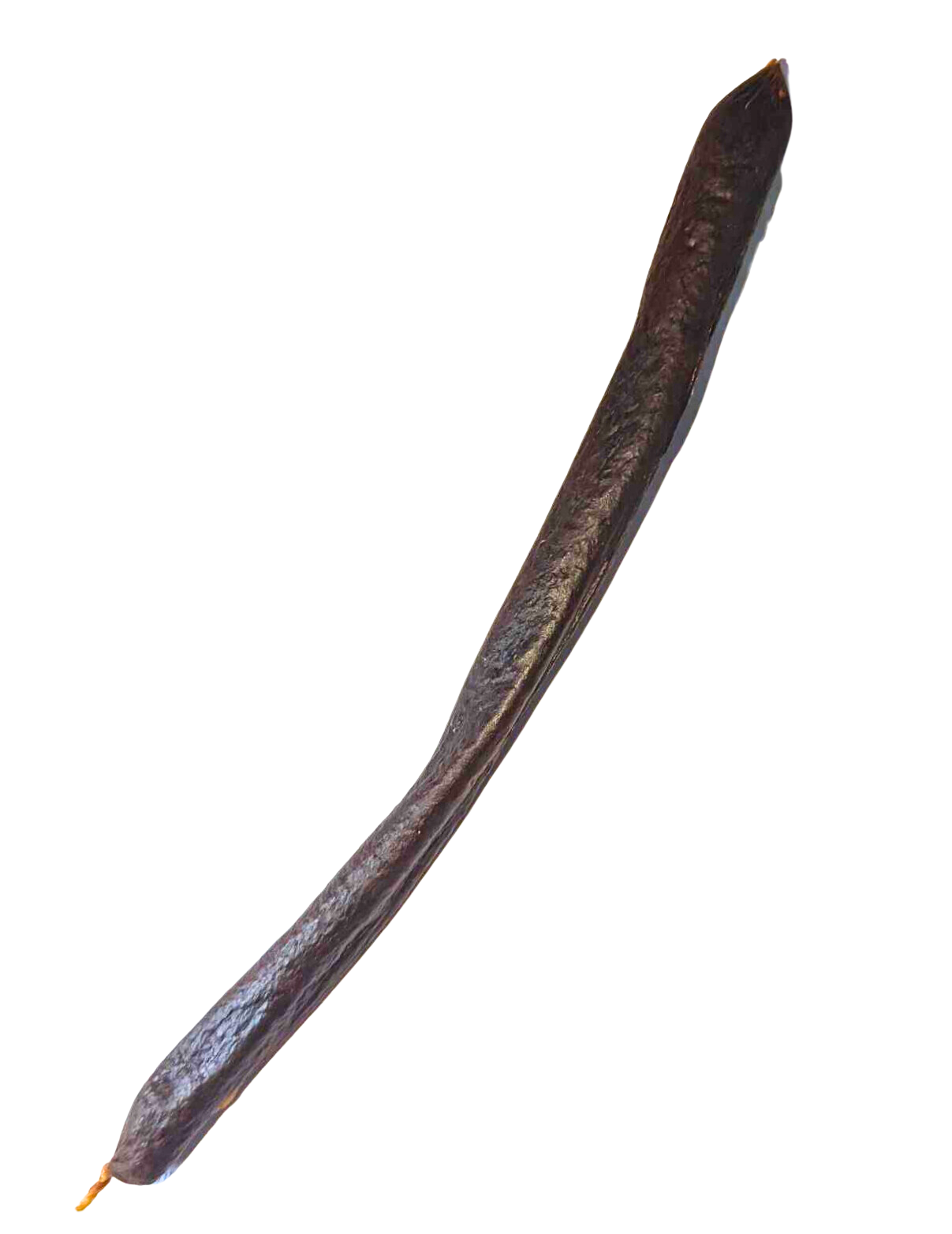 Poding Stick Black Pudding Sticks - Single – Snuffle and Swim