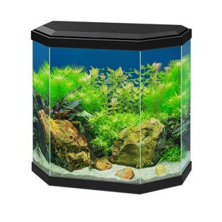 Ciano Aqua 30 Aquarium with LED Light - Black 25L