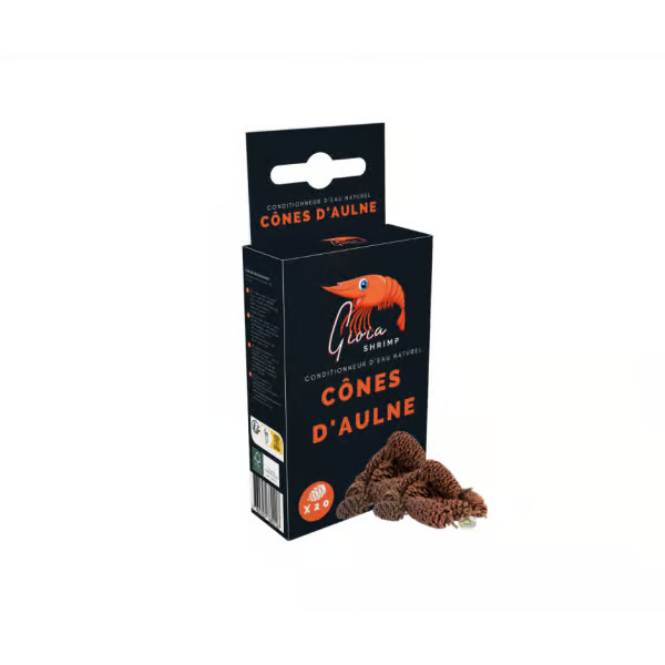 Gioia Alder Cones (20pk)