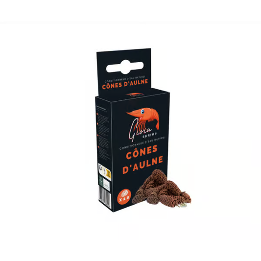 Gioia Alder Cones (20pk)
