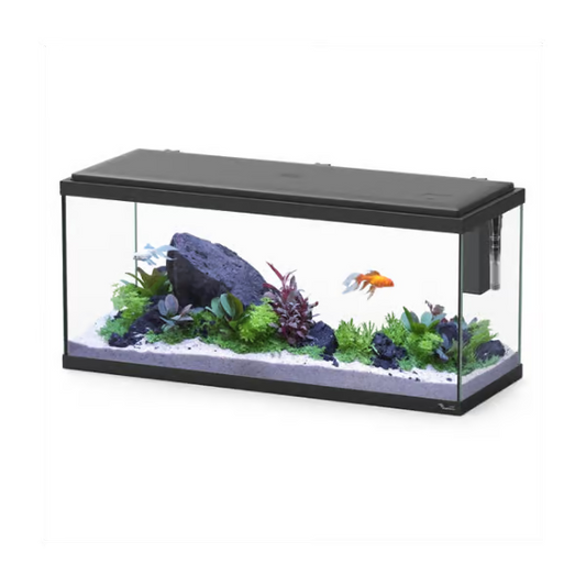 Explorer Amsterdam 85L Aquarium Black