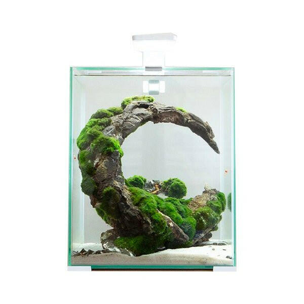 AQUAEL SHRIMP SET DAY AND NIGHT 10L - WHITE
