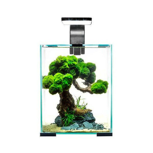 AQUAEL SHRIMP SET DAY AND NIGHT 20L - BLACK