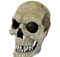 Repto Deco Human Skull XL