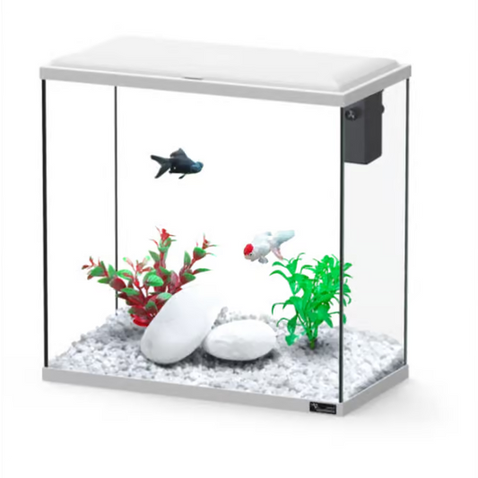 Explorer Dublin 34L Aquarium White