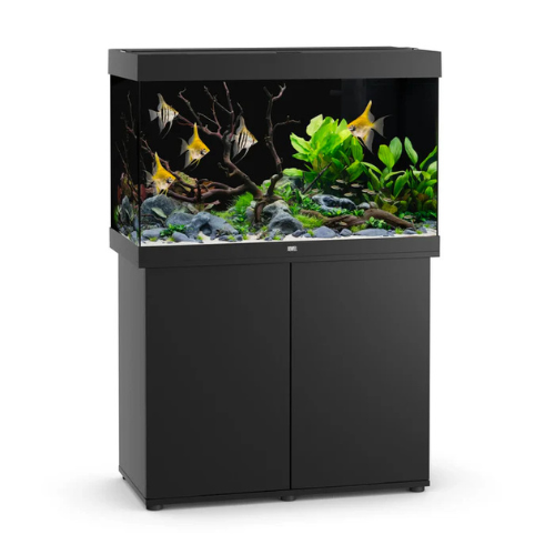JUWEL RIO 290 AQUARIUM AND CABINET - Black