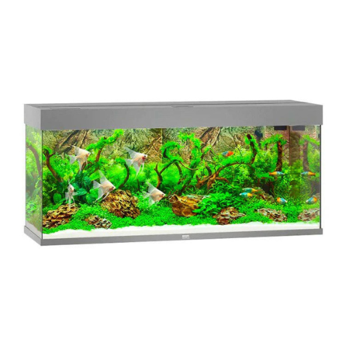 JUWEL RIO 240 LED AQUARIUM ONLY - (GRAY)