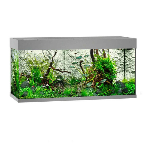 JUWEL RIO 180 LED AQUARIUM ONLY - (GREY)