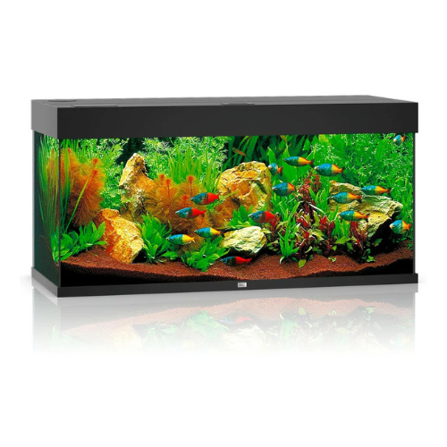 JUWEL RIO 180 LED AQUARIUM ONLY - (BLACK)
