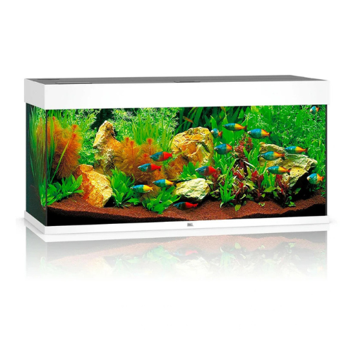 JUWEL RIO 180 LED AQUARIUM ONLY - (WHITE)