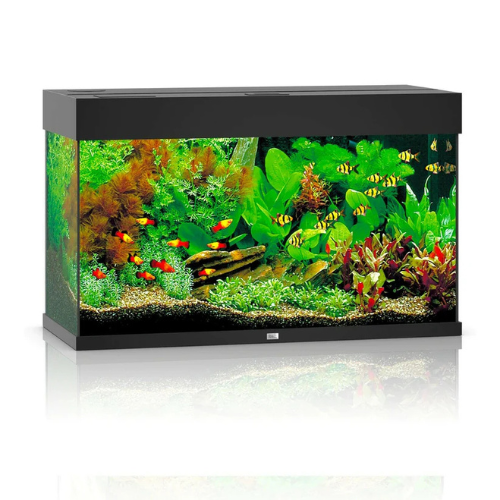 JUWEL RIO 125 LED AQUARIUM ONLY (BLACK)