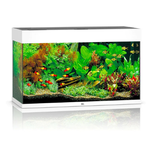 JUWEL RIO 125 LED AQUARIUM ONLY (WHITE)