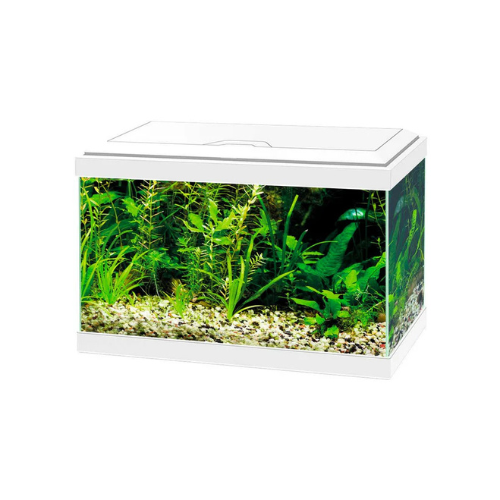 CIANO AQUA 20 AQUARIUM - WHITE