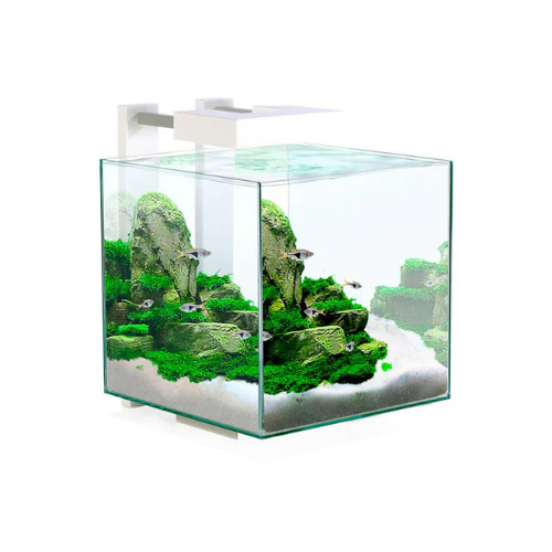 CIANO NEXUS PURE 15 AQUARIUM