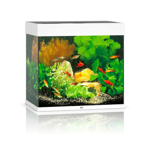 Juwel Lido 120 LED Aquarium Only - White