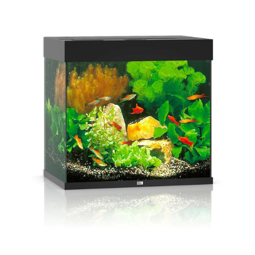Juwel Lido 120 LED Aquarium Only - Black