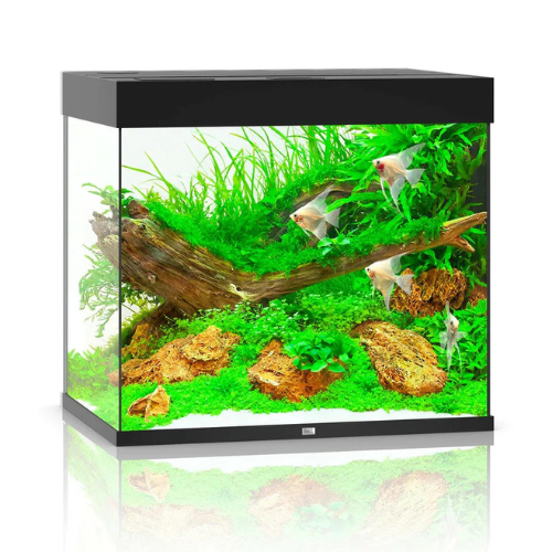 Juwel Lido 200 LED Aquarium Only - Black