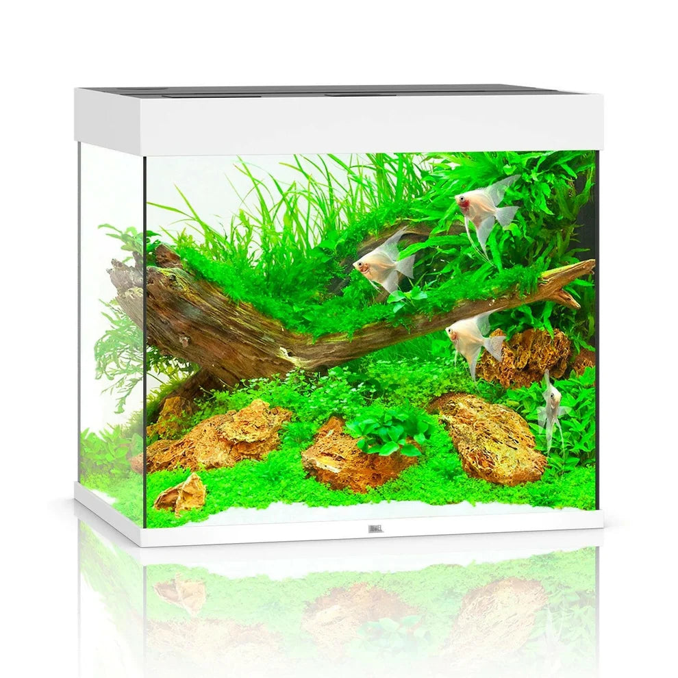 Juwel Lido 200 LED Aquarium Only - White