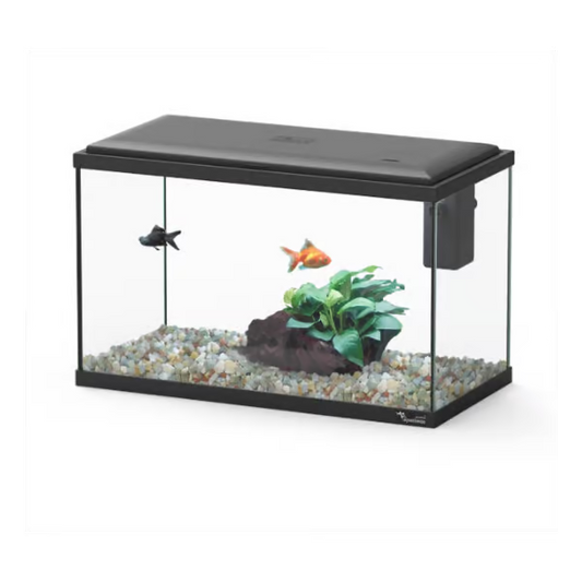 Explorer Lisbon 22L Aquarium Black