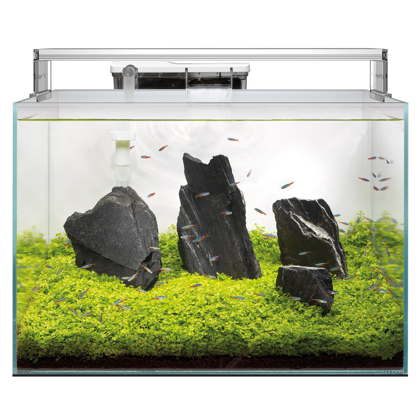 Superfish Scaper 60