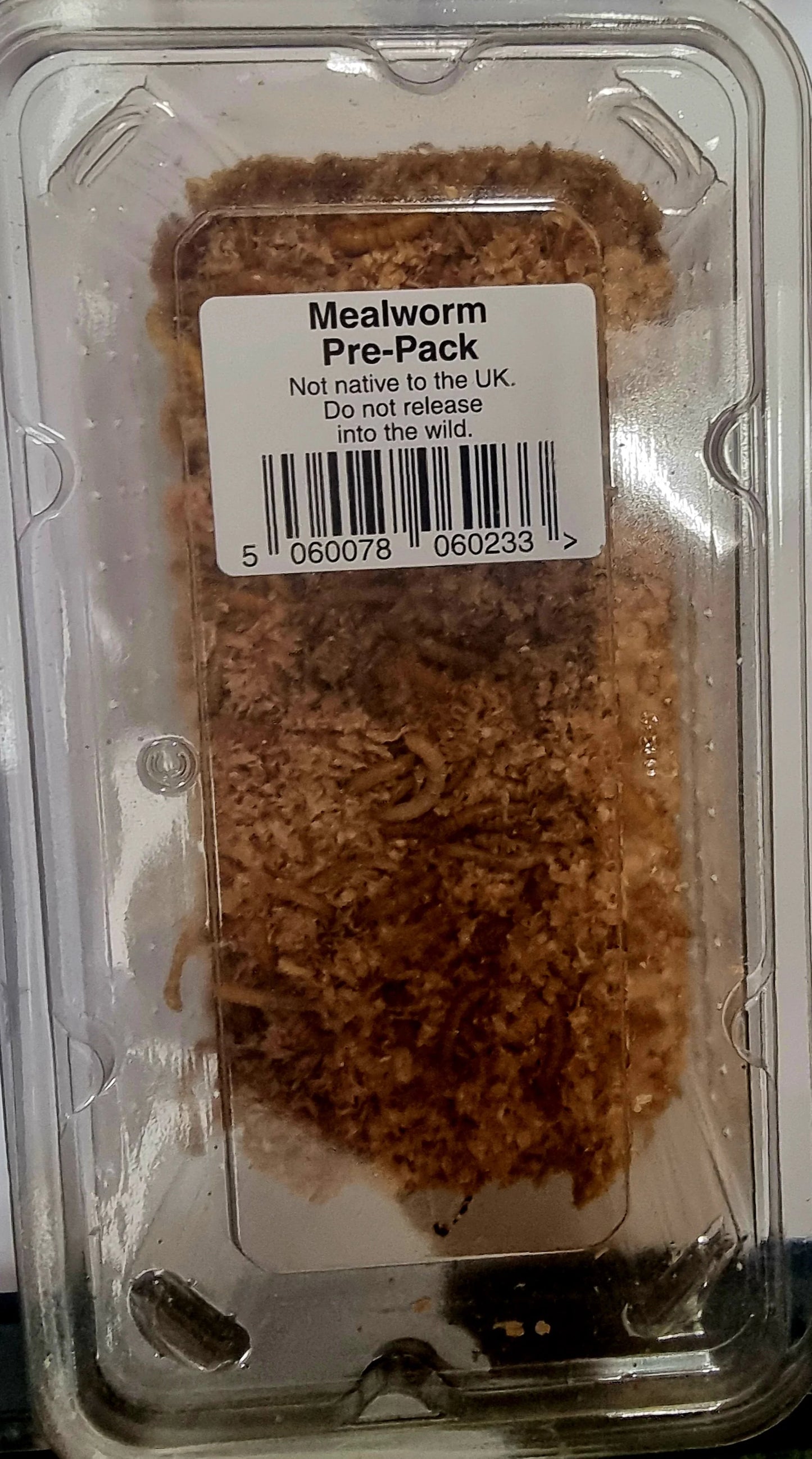 Reptile Live Food: Mealworm Pre-Pack