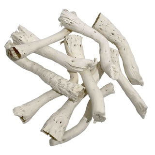 WIO Driftcactus Cholla Wood Bit 10-15cm 5pcs
