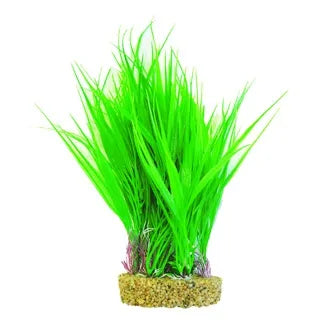 Betta Choice 10" Green P Plant W/ Wide Sand Base