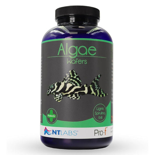 NT Labs Pro - F Algea Wafers 350g