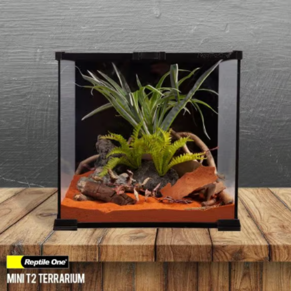 Reptile One Mini Glass Tank 20 x 20 x 20cm